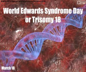 yapboz Dünya Edwards Sendromu Günü veya Trizomi 18